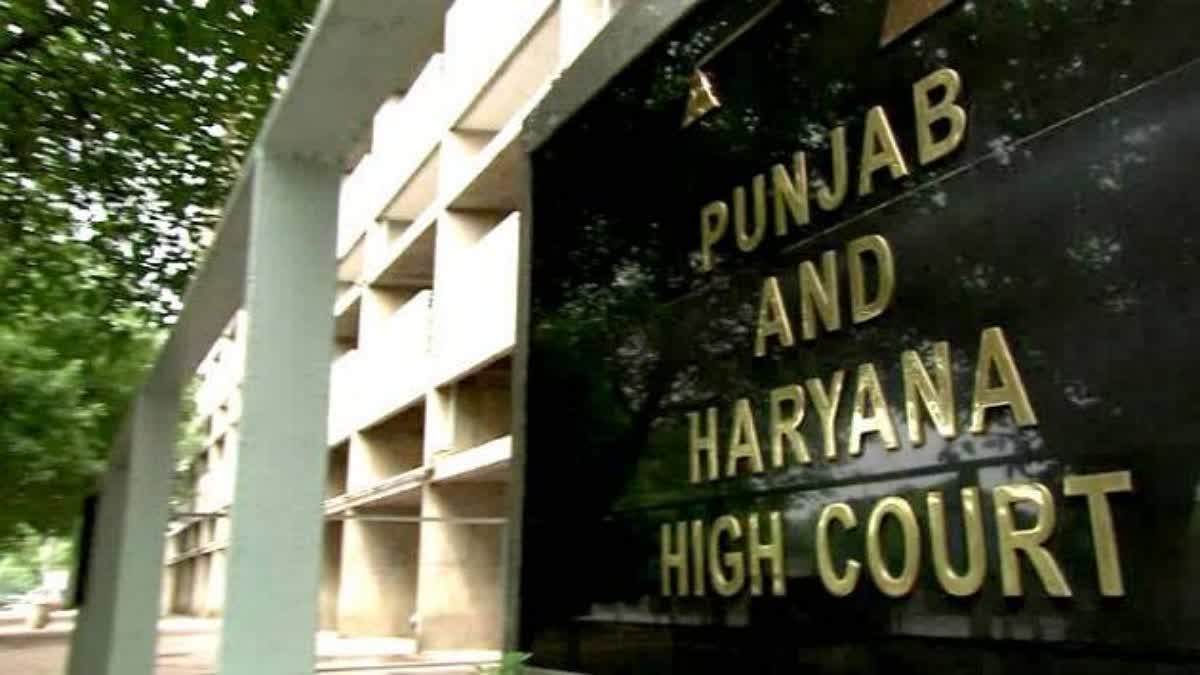 punjab haryana high court on alimony