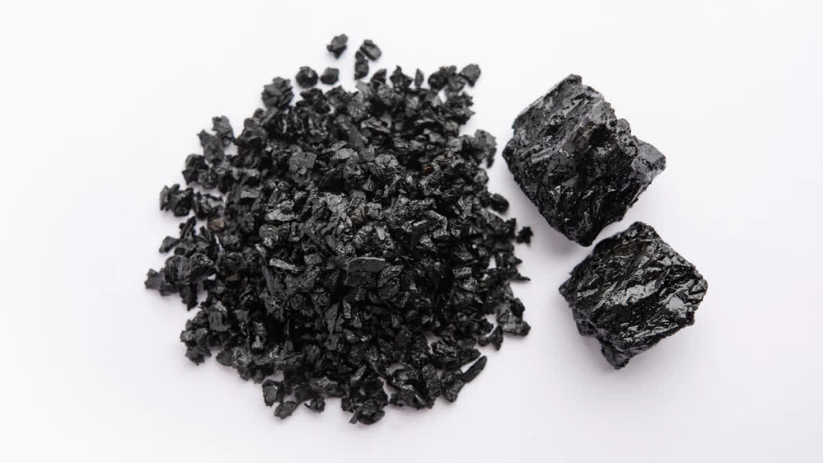 Understanding benefits of Shilajit for cardiovascular fitness