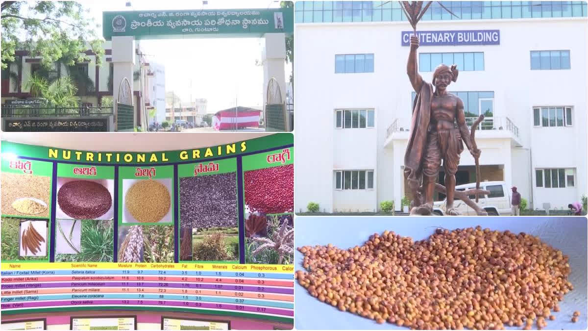 Lam Farm centenary celebrations in Guntur