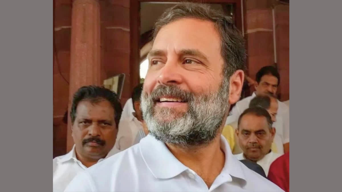 A Rahul's namesake has been barred from contesting elections for three years after he failed to submit his accounts of election expenses.