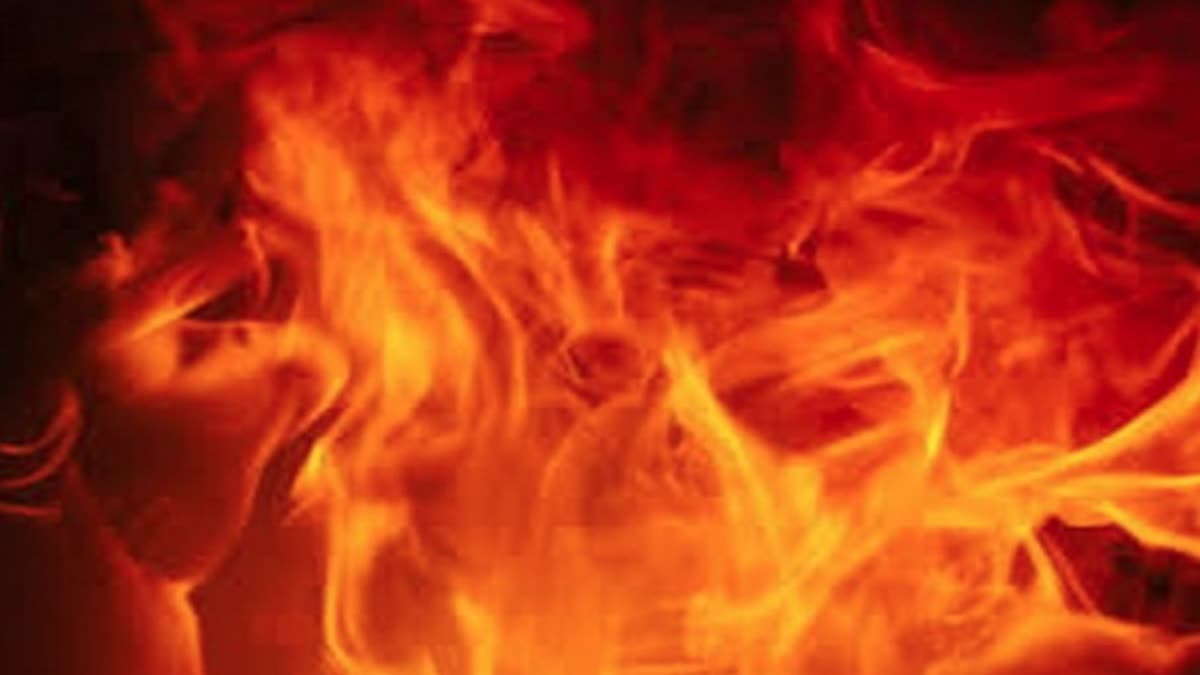 Woman sets Hut on Fire and attempts suicide during anti encroachment procedure