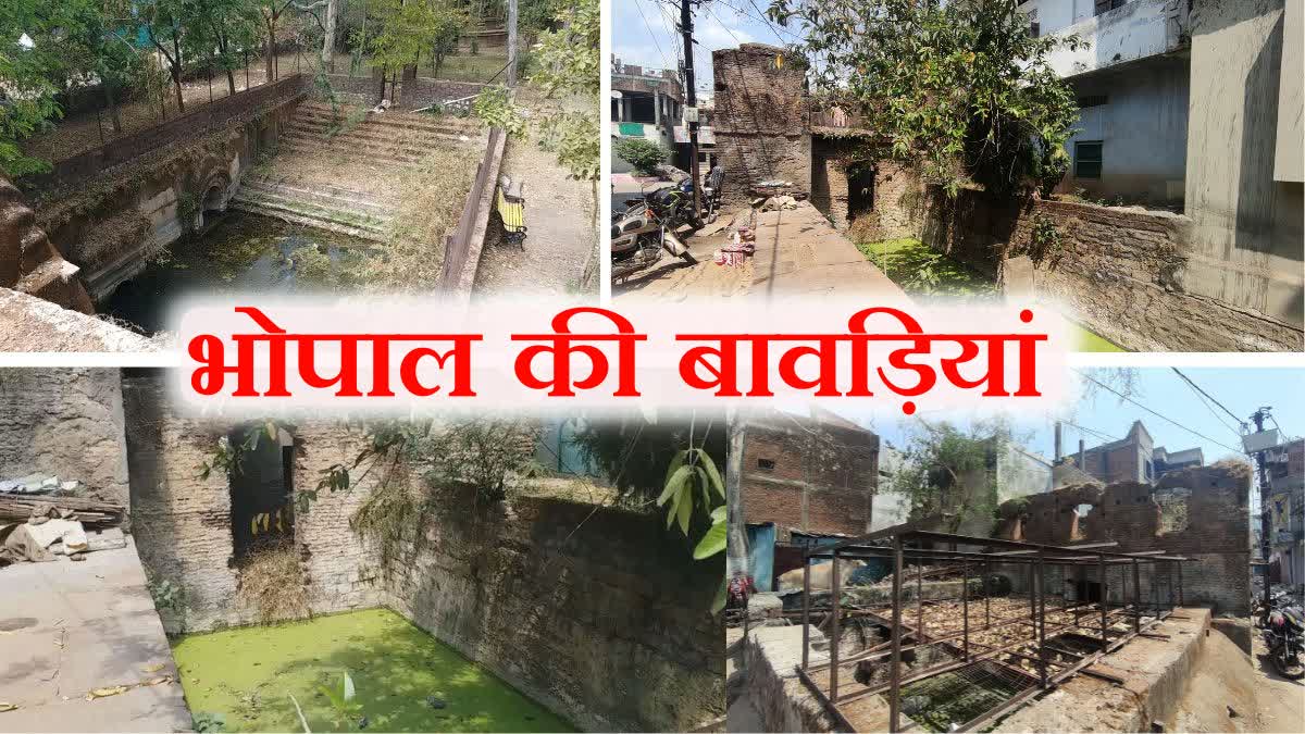 bhopal has 12 stepwells