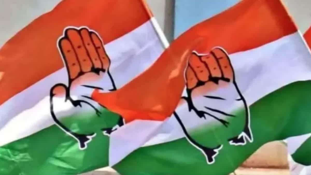 Congress representative image