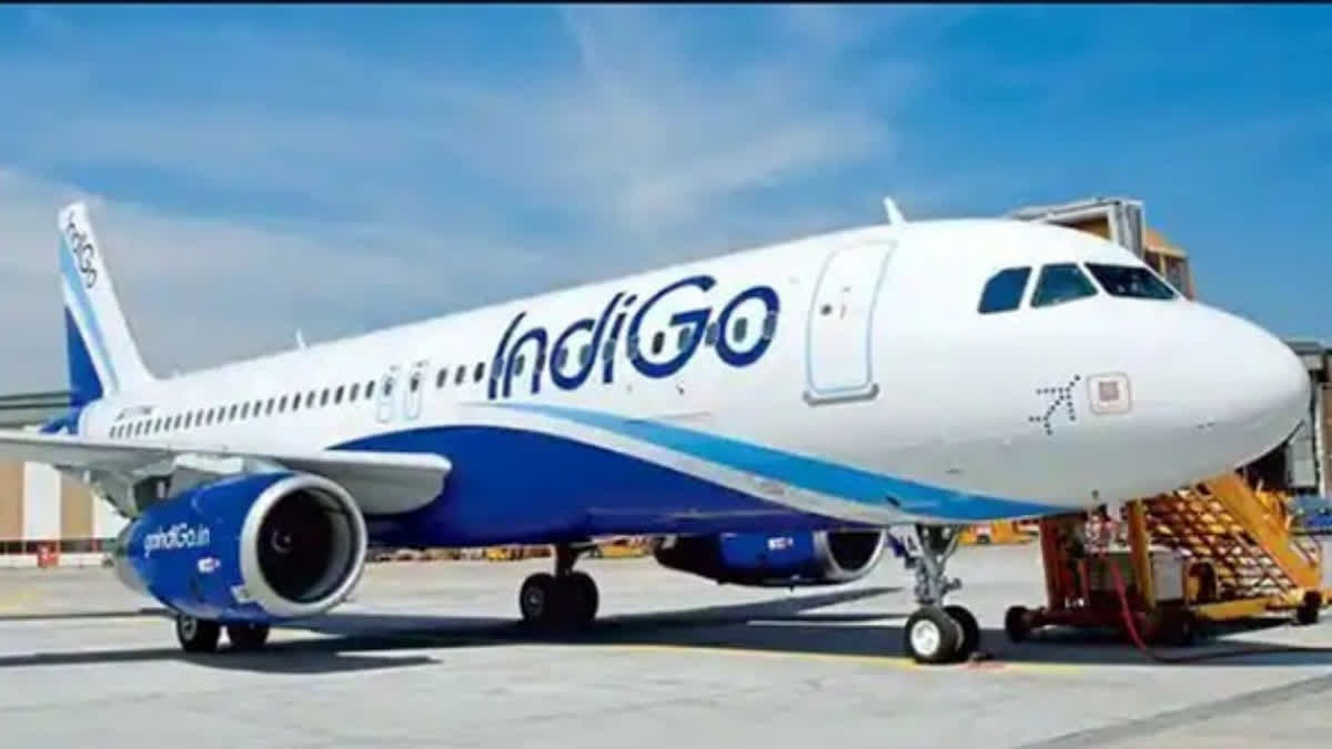 Swedish passenger who molested IndiGo flight crew released on bail