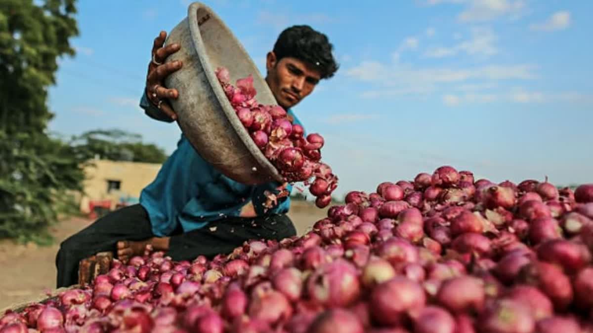 doctors found Worms in Eyes of labourers who work in Onion Fields