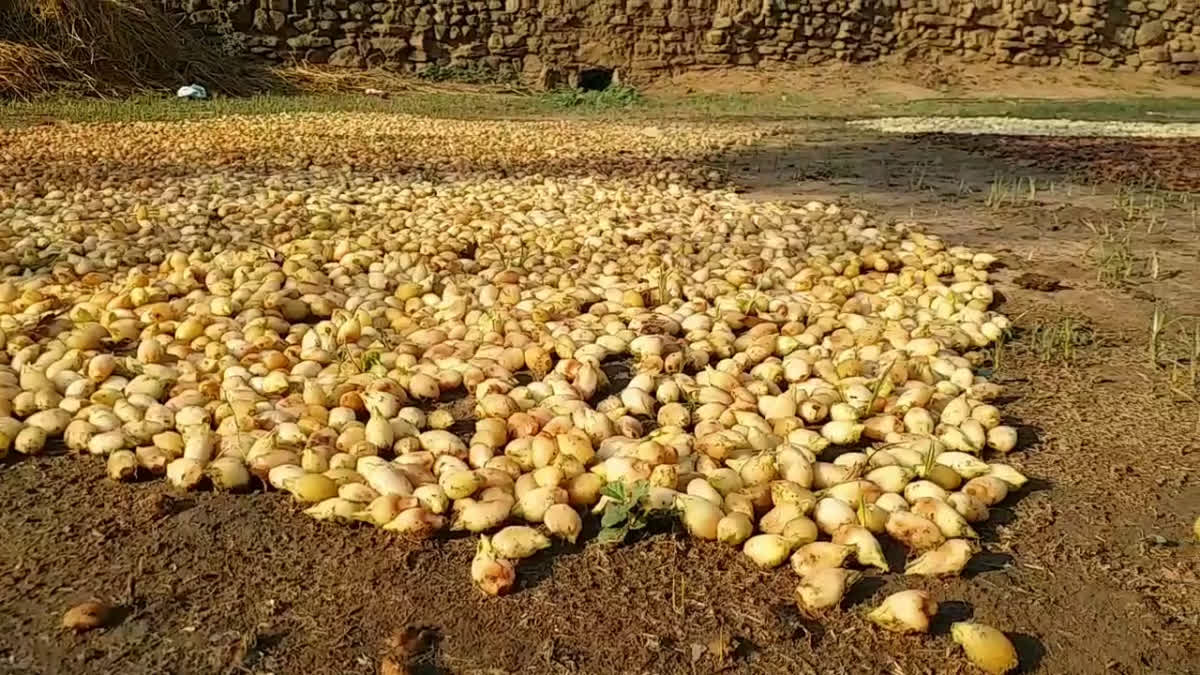 Mahua crop destroyed in Shahdol