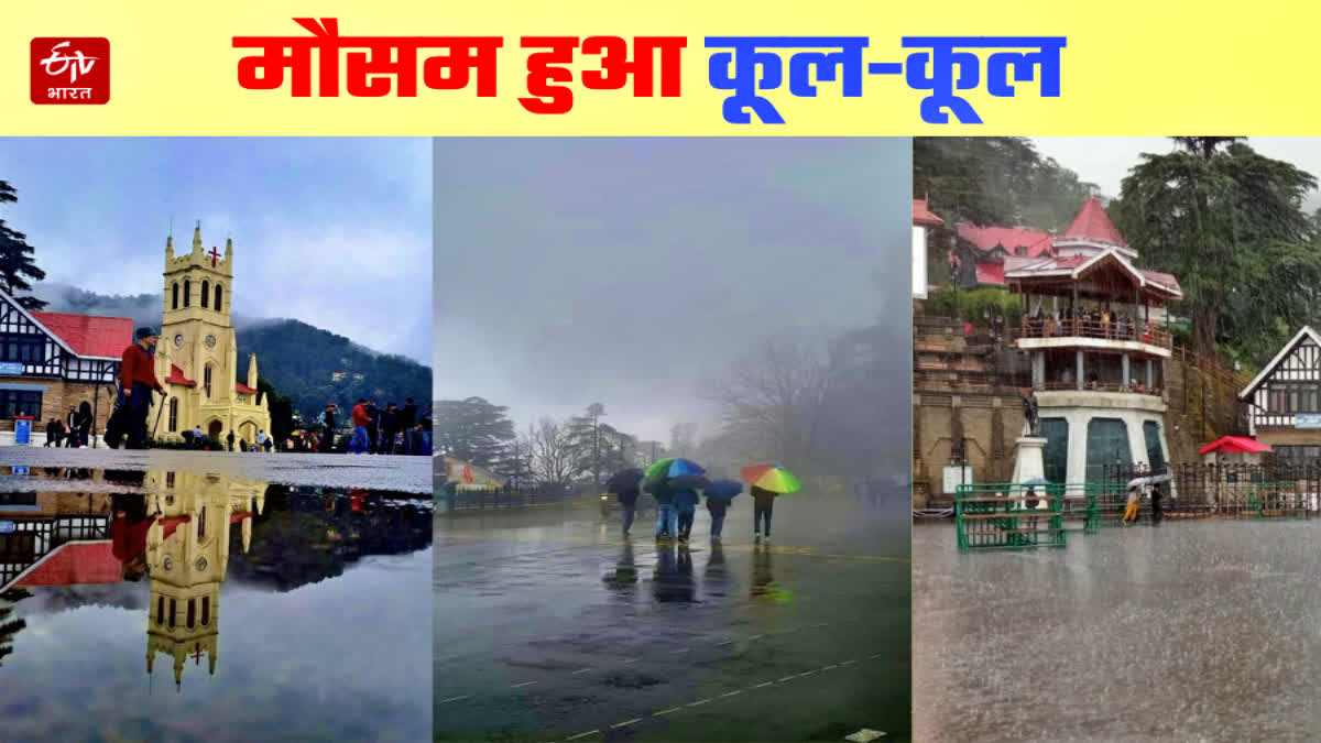 Shimla weather update