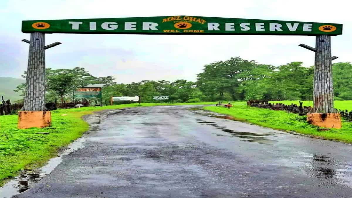 Melghat Tiger Reserve