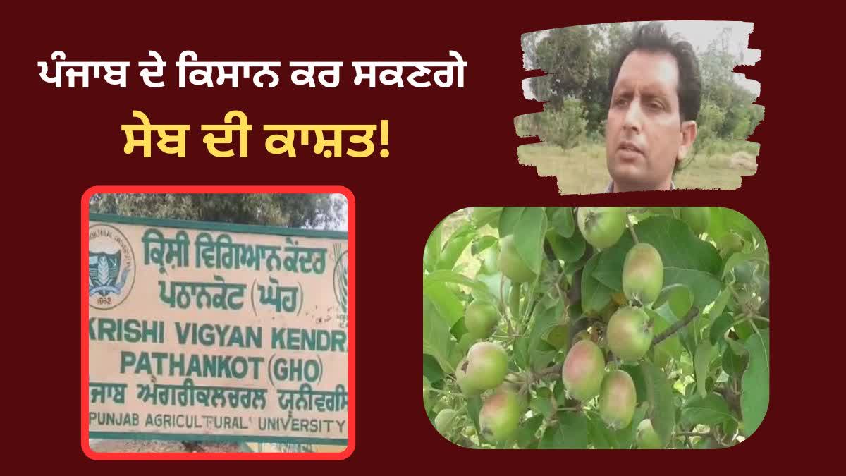 Apple Farming in Punjab, Krishi Vigyan Kendra