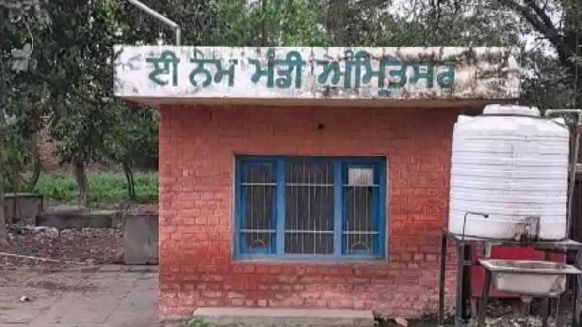 Amritsar Anaj Mandi: Purchase of wheat has started, but the condition of Punjab markets is pathetic