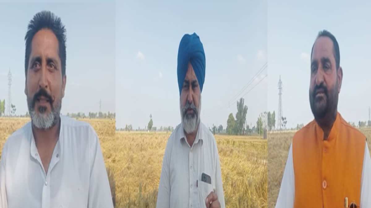 Farmers praised the Chief Minister's announcement regarding damaged crops