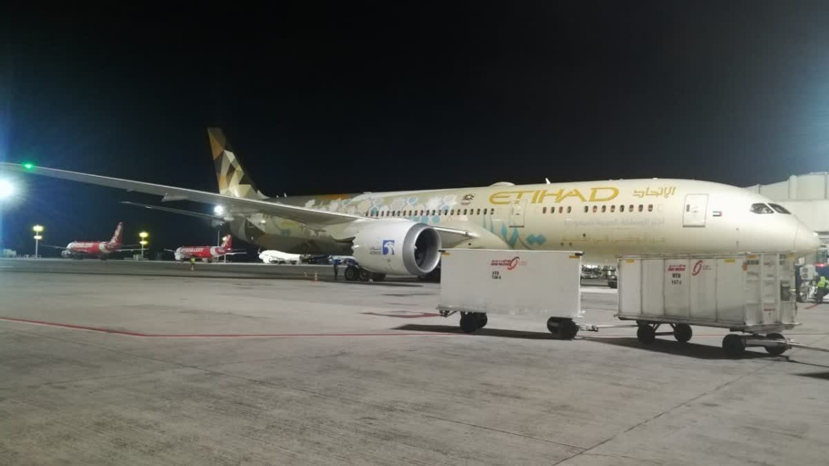 Etihad Airways emergency landing