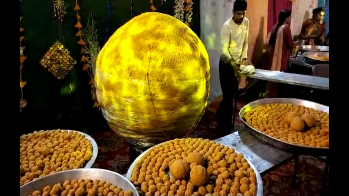 The special laddoo will be offered to Lord Hanuman at a Jabalpur temple