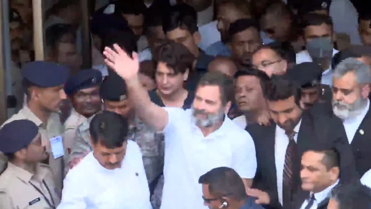 Rahul Gandhi Gets Bail