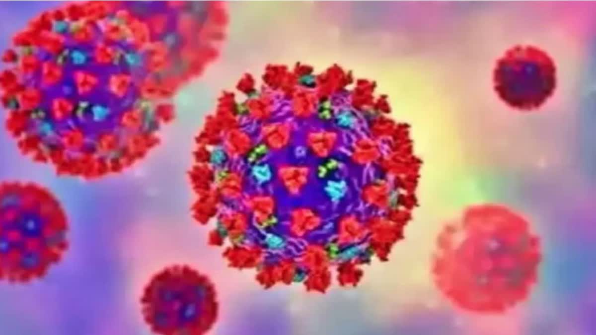 corona virus