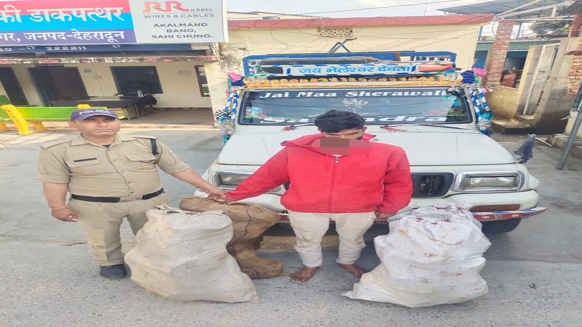 Banned wood recovered in Vikasnagar