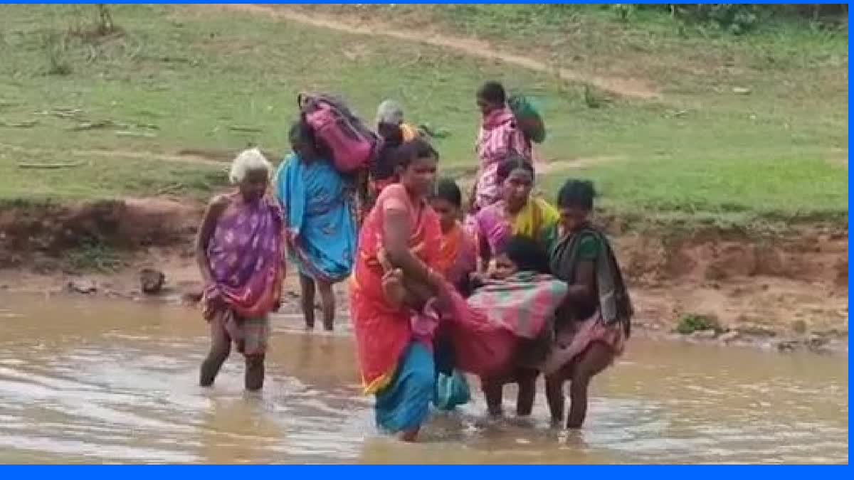 pregnant women again crossed river in rayagada