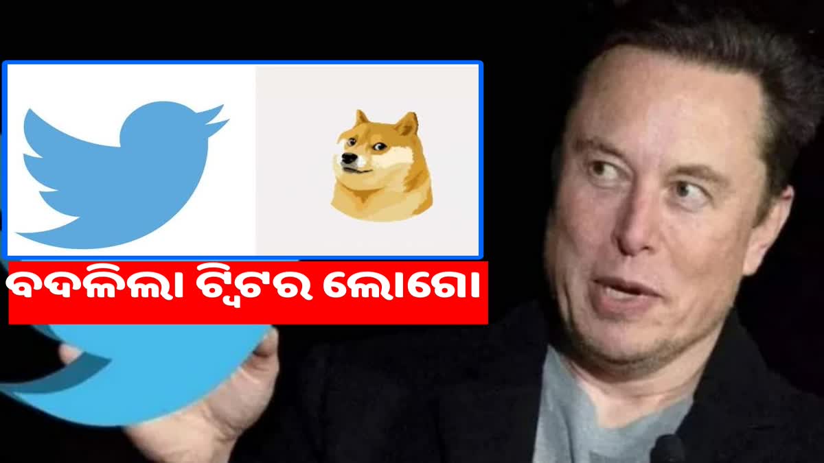 Musk replaces Twitters logo