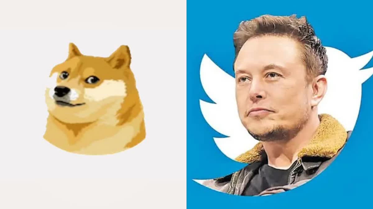 Twitter's Logo Changed: ટ્વિટરના લોગોથી ચકલી ઉડી અને આવ્યો ડોગ