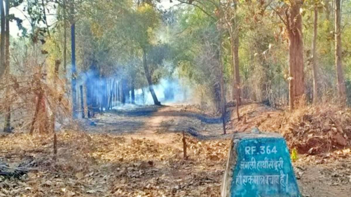 banghavgarh tiger reserve