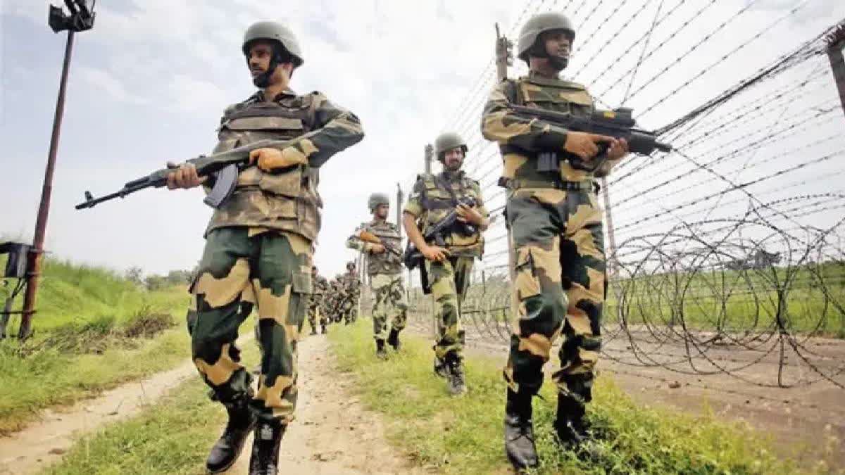 Fish Eggs seizes by BSF