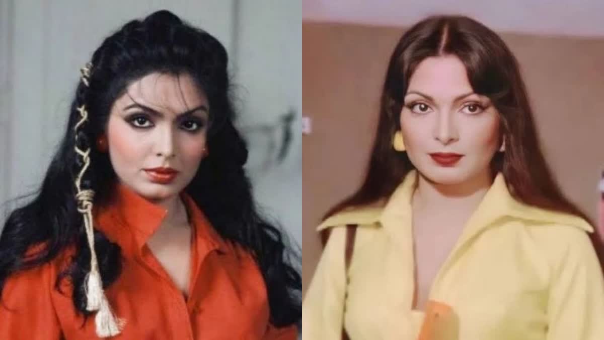 parveen babi birthday: ગ્લેમરસ અભિનેત્રી પરવીન બાબીની જન્મજયંતિ, તેમની કારકિર્દી પર એક નજર