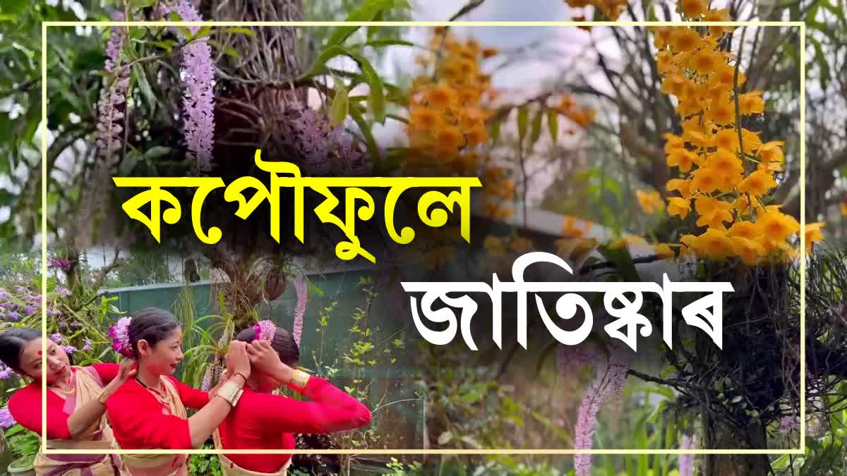 Tinsukia orchid conservation center