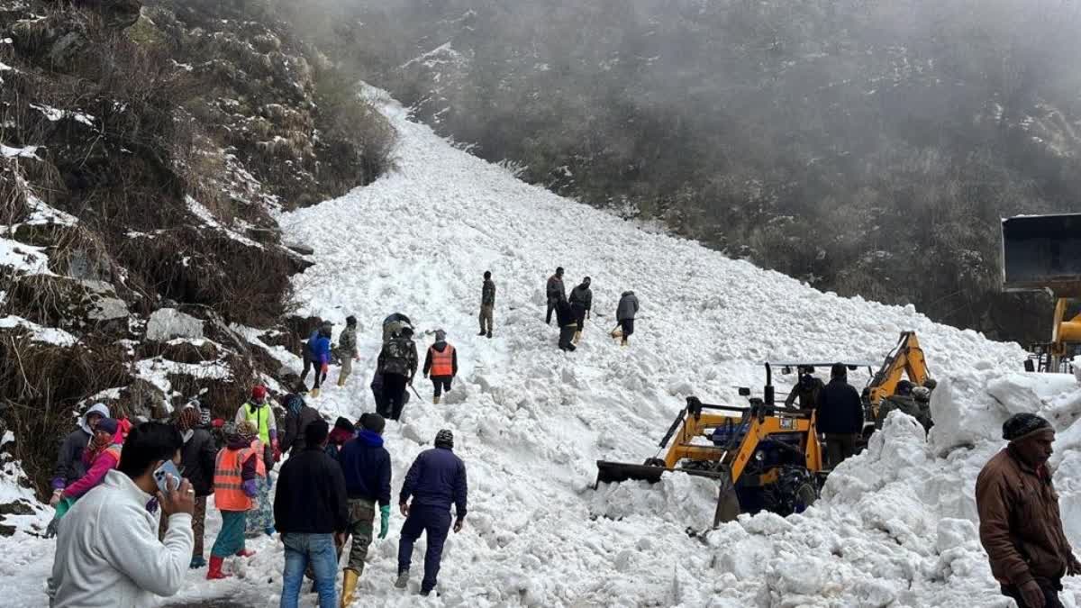 sikkim avalanche