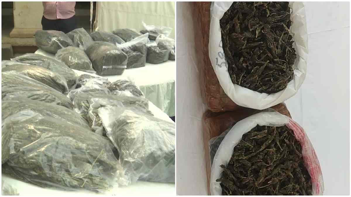 Police Seized the Ganja