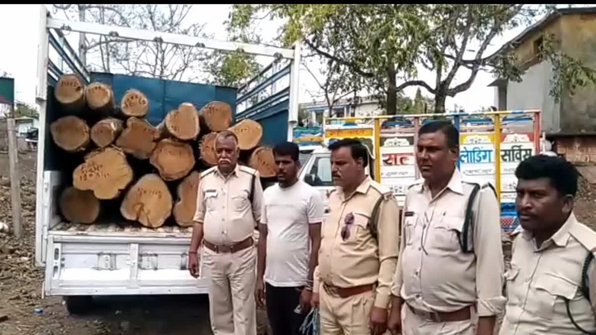 Smuggling Of Teak In Sagar