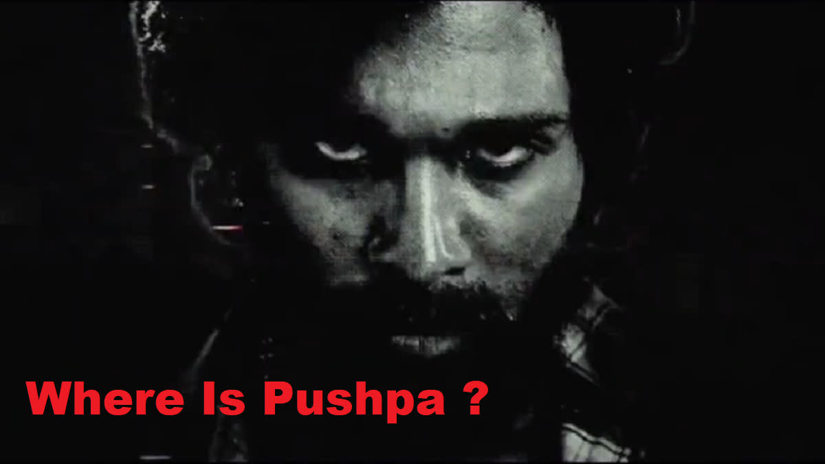 Pushpa The Rule