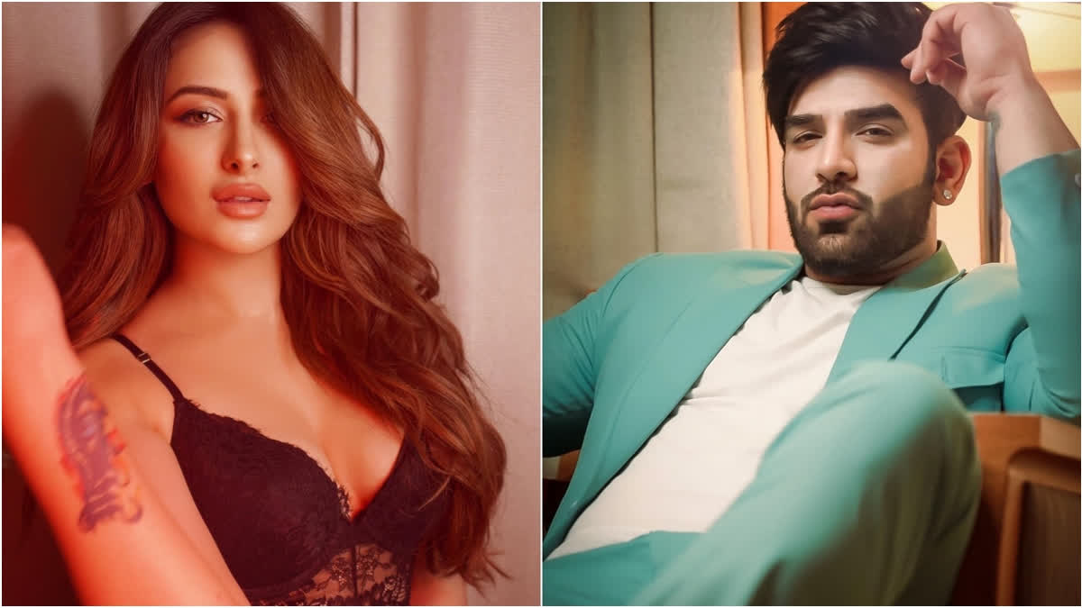 Bigg Boss 13 contestants Paras Chhabra and Mahira Sharma's love story ends