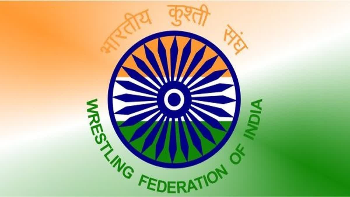 wrestling federation of india