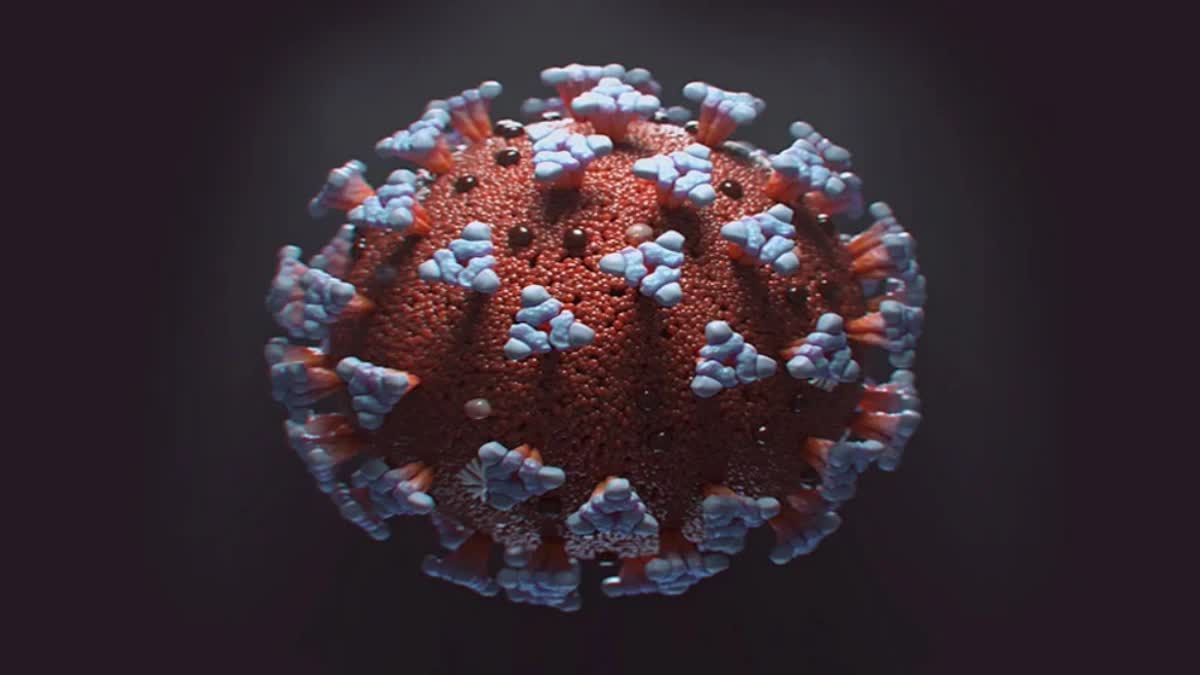 Coronavirus: ગુજરાતમાં કોરોના વાયરસના કુલ કેસનો આંક 300ને પાર