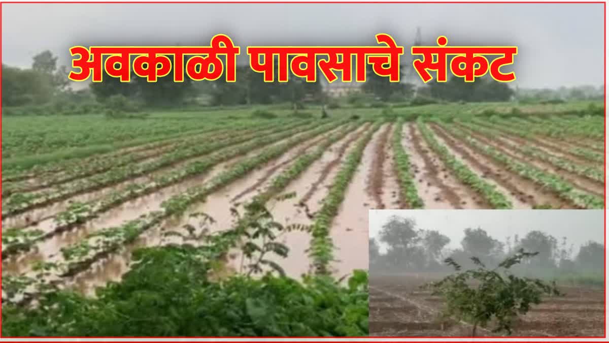 Maharashtra Weather