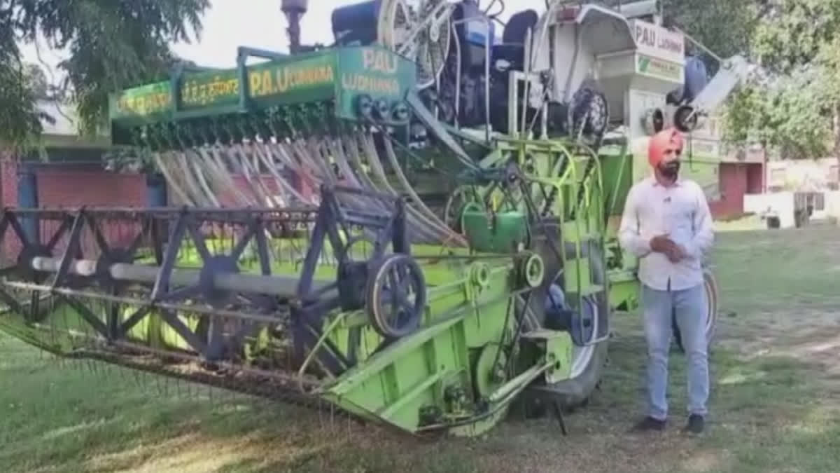 Surface seeding is a boon for wheat, even heavy rains and hailstorms are not affected