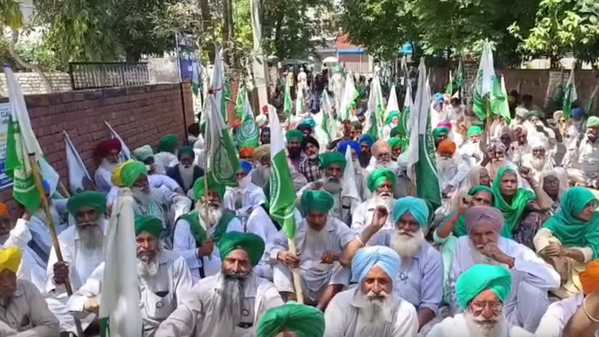 Farmer Protest Sangrur: Farmers in Sangrur insisted on the rates of farmers administration for compensation of crop destruction.