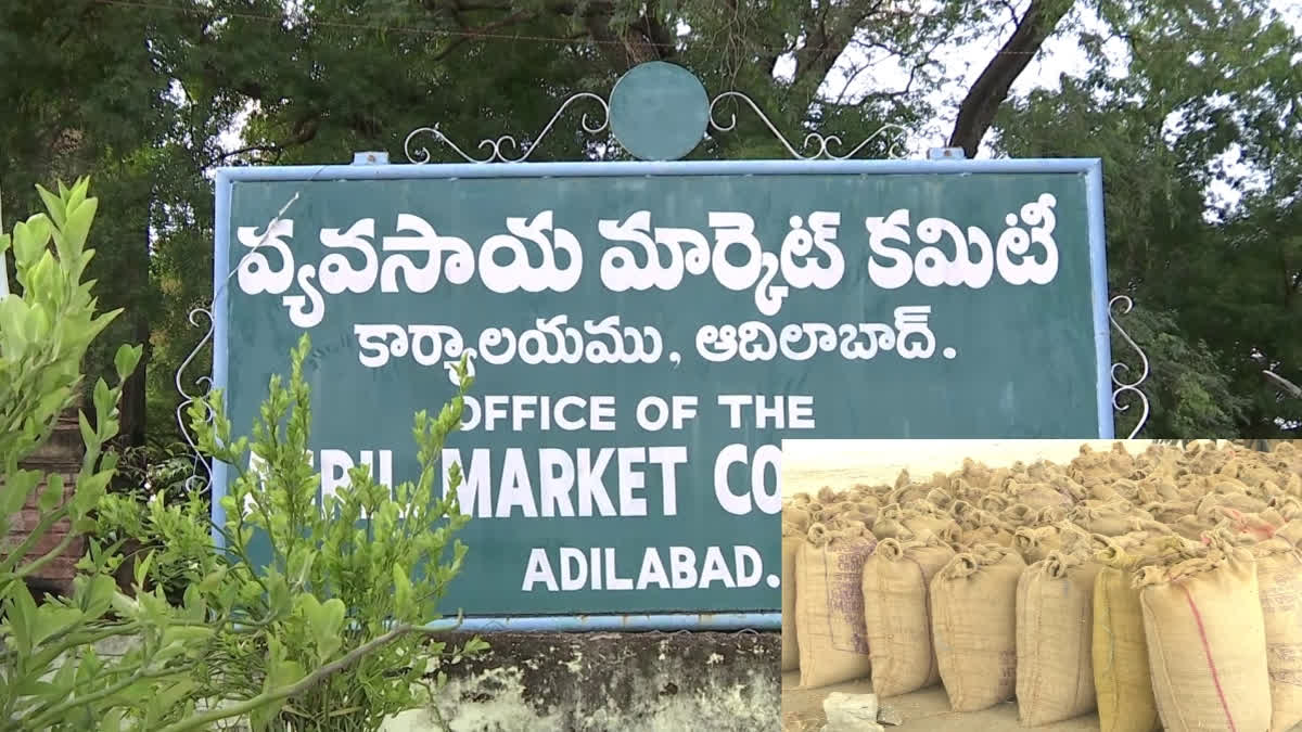 Adilabad Market Yard