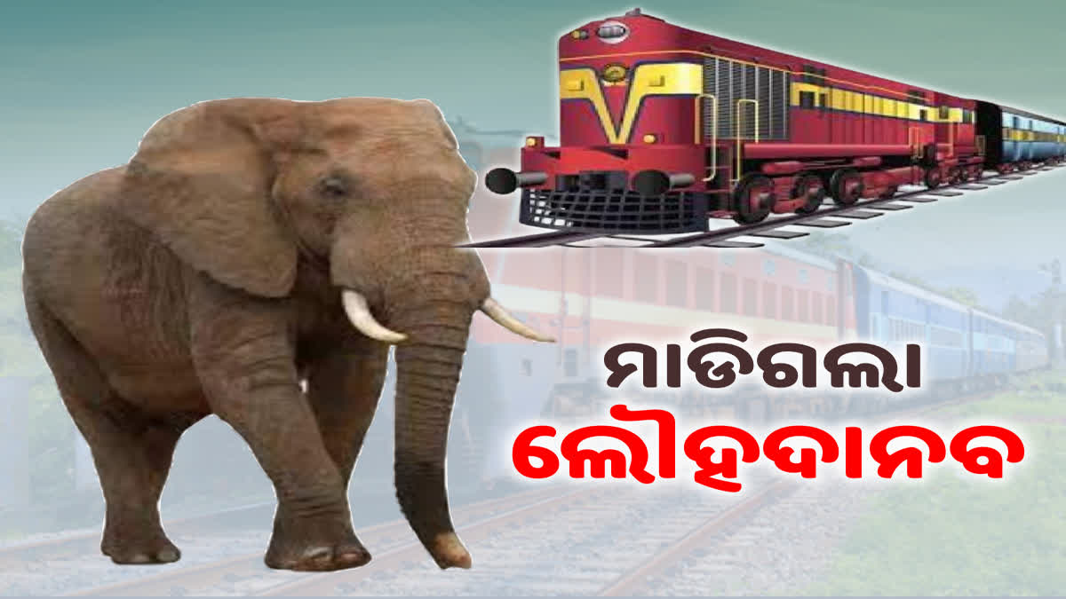 elephant died after train accident