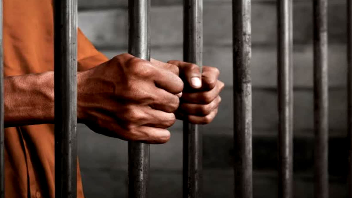 पानीपत की जेल में सक्रिय वसूली गैंग, पैसे नहीं देने पर UP के हवालातियों पर हमला