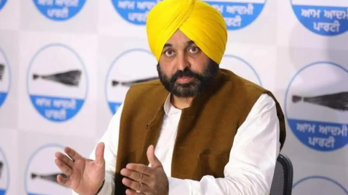 Chief Minister Bhagwant Mann's press conference in Chandigarh