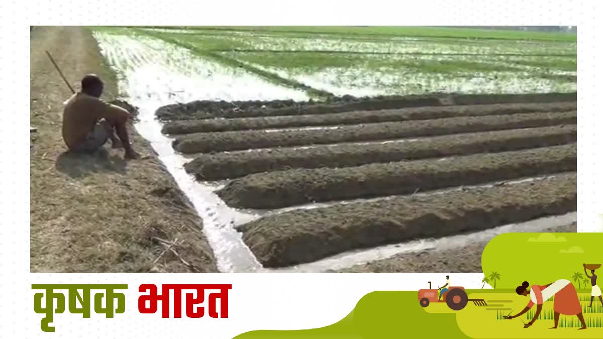 Kisan Evam Khetihar Jeevan Suraksha Yojana for farmers in Haryana