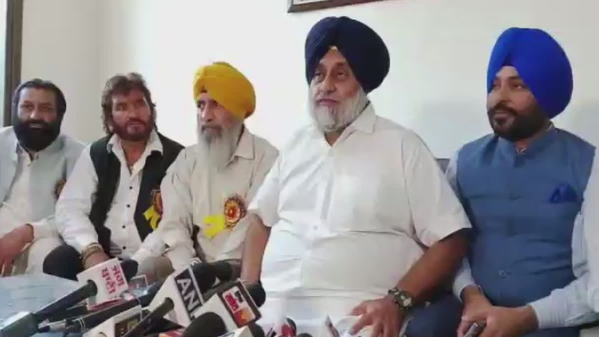 Shiromani Akali Dal president Sukhbir Singh Badal's press conference in Jalandhar