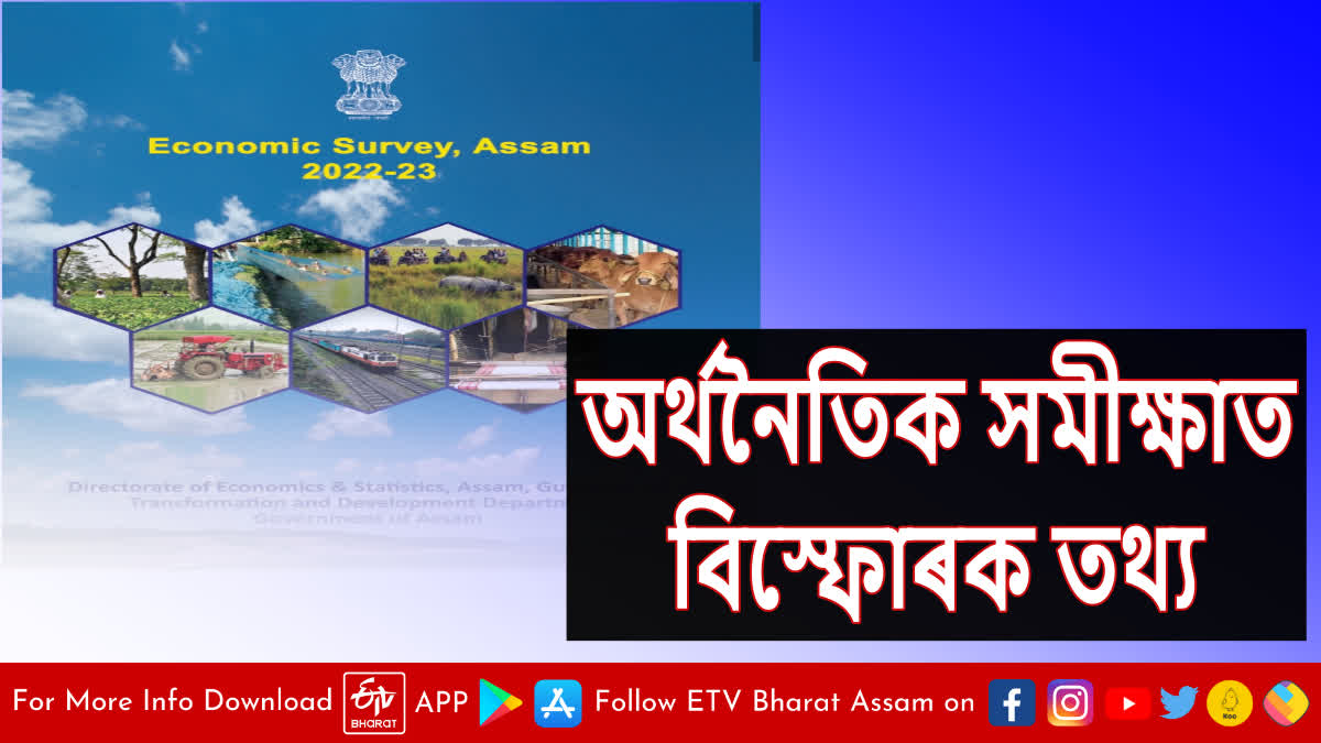 Assam Economic Survey reveals alarming facts