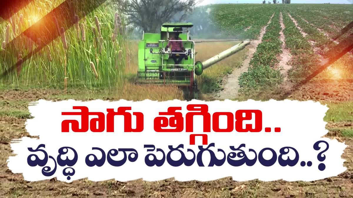 cultivation of crops details in ap