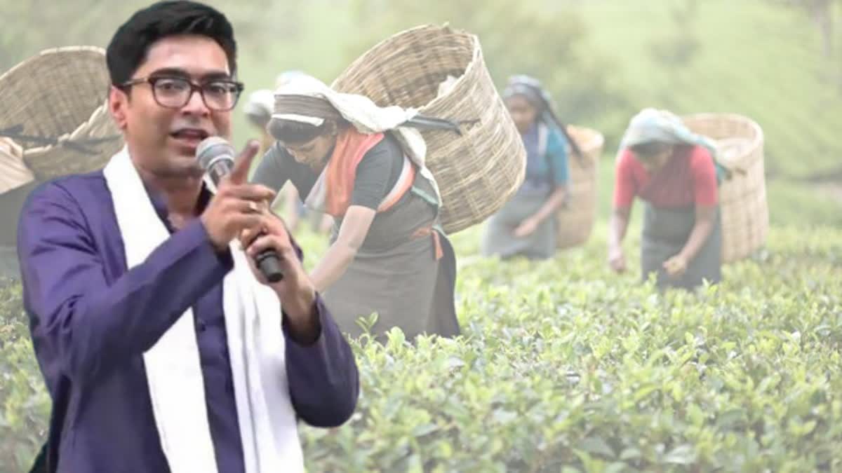 Abhishek Banerjee stands with Tea Labourers and raise his voice for their PF related Problems