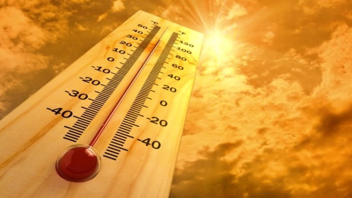 Rise in temperature in India in next five days