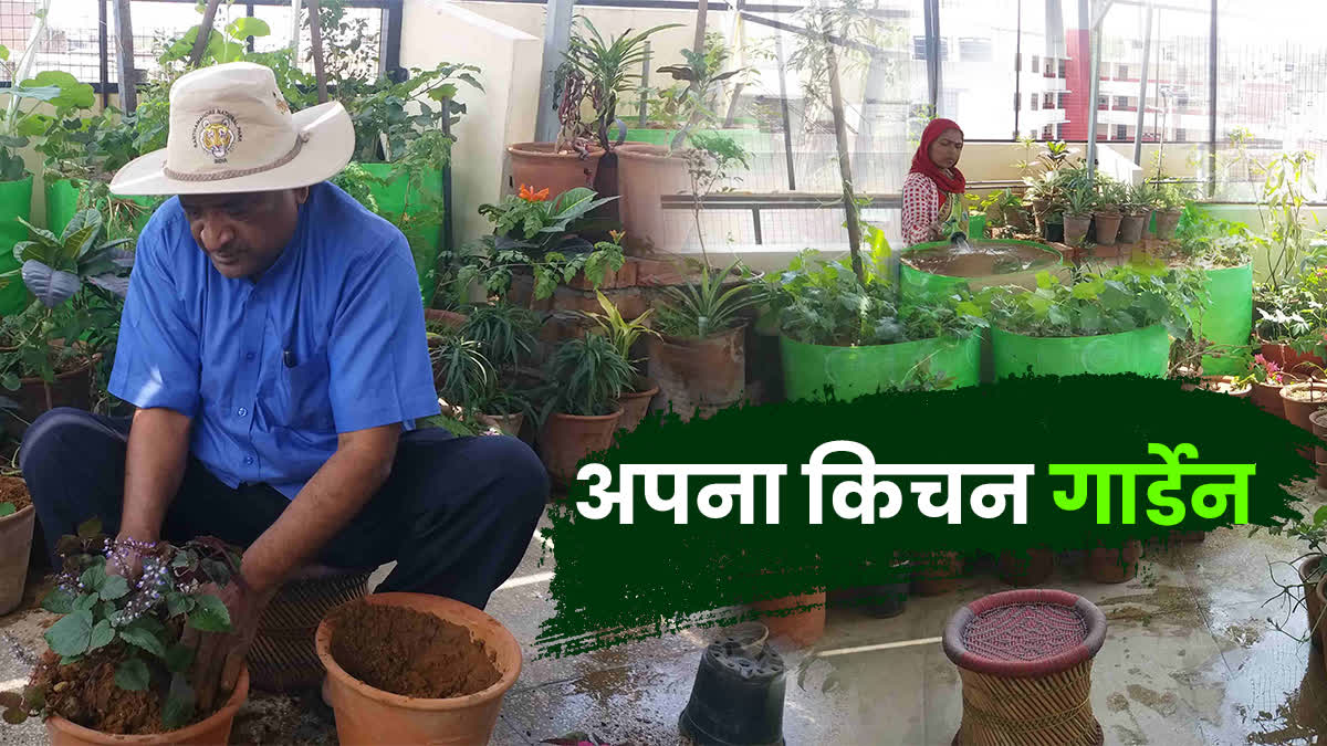 kitchen Garden on terrace