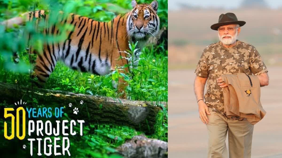 PM Modi at Bandipur Tiger Reserve