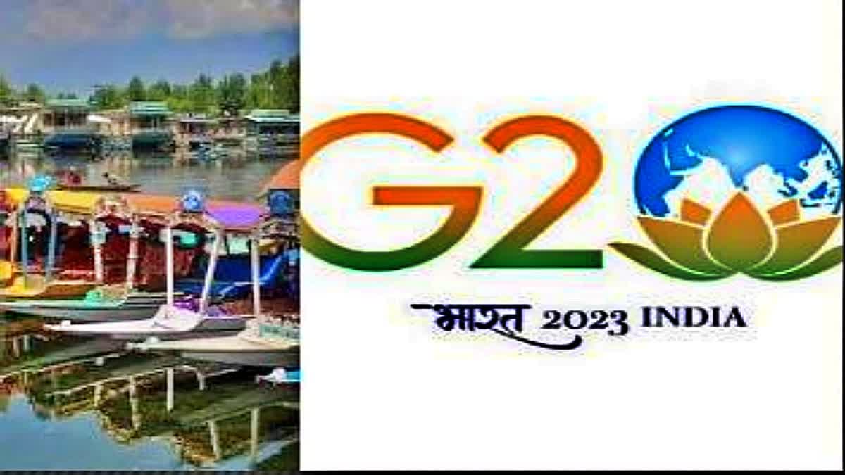 G20